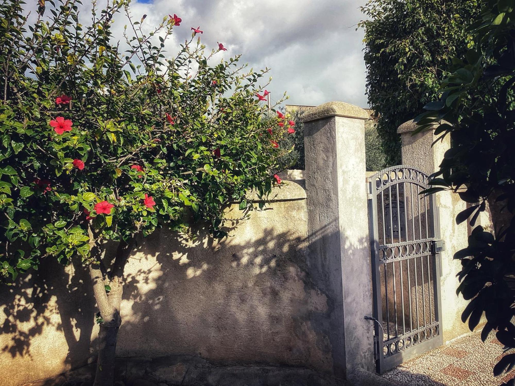 Villa Silvana Mazara del Vallo Eksteriør billede